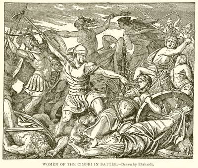 Women of the Cimbri in Battle by English School