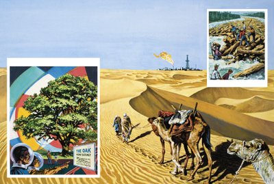 You Can Lead a Camel to Oil by English School