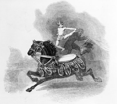 Young Hernandez, at Astley