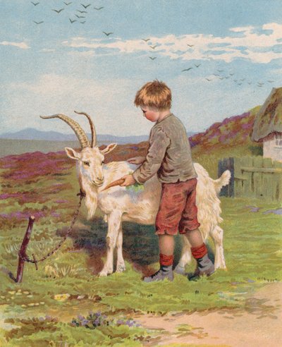 Young boy feeding a carrot to a billy goat on a farm by English School