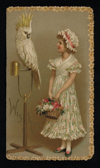 Young Woman with a White Cockatoo, Greetings Card by English School