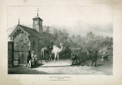 Zoological Gardens, Regents Park by English School