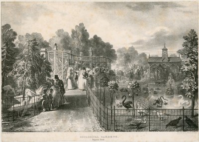 Zoological Gardens, Regents Park by English School