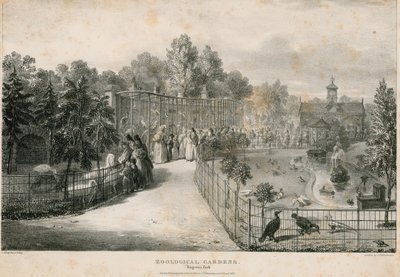 Zoological Gardens, Regents Park by English School