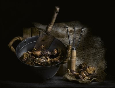 Foraged Mushrooms and Tools by Enrico Sottocorna