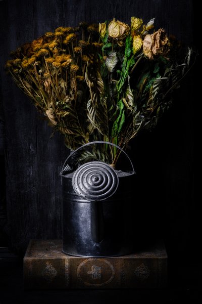 Moody Floral Still Life by Enrico Sottocorna