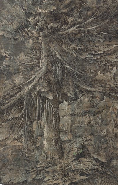The Great Fir Tree. Mountain Landscape with a Fortified City and a Fortress, a Large Fir Tree in the Foreground by Erhard Altdorfer