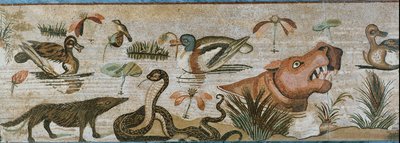 Aquatic and Other Animals by Erich Lessing