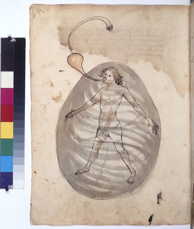 Diver, c.1430 by Erich Lessing