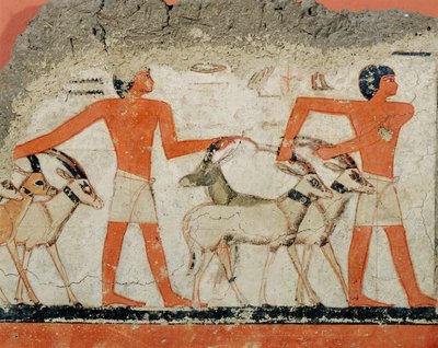 Mural from the tomb of Pharaoh Metchetchi by Erich Lessing
