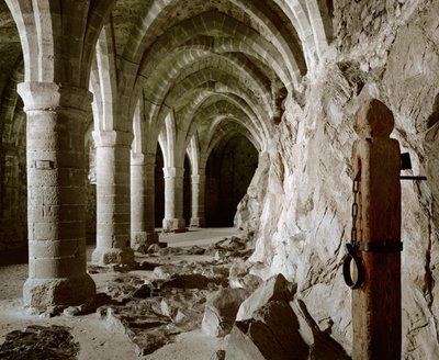 The Gothic Vaults of the Cellars, Castle, Chillon, Switzerland by Erich Lessing