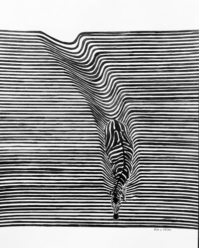 Zebra Optical Illusion by Erik Van Velzen