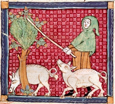 September: Pigs Eating Acorns from 