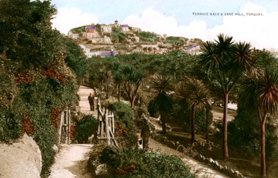 Terrace Walk and Vane Hill, Torquay, Devon by Ern Bishop