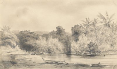 Entrance to the Paiou River, Vanikoro Island by Ernest Auguste Goupil