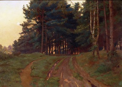 Silence Claimed Her Evening Reign, 1888 by Ernest Arthur Rowe