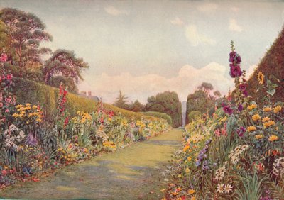 The Long Border, Holme Lacy by Ernest Arthur Rowe