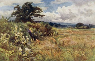 Rising Ground by Ernest Benger or Berenger