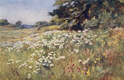 Sunshine in Meadowland by Ernest Benger or Berenger