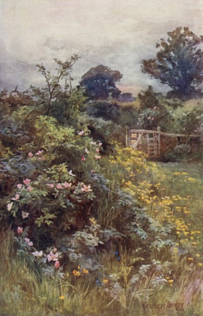 The Reign of the Rose by Ernest Benger or Berenger