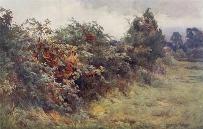 The Revelation of Ripeness by Ernest Benger or Berenger