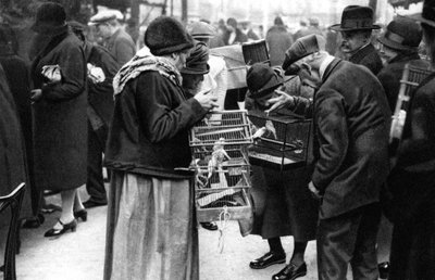 A Group of Buyers of Canaries, Paris by Ernest Flammarion