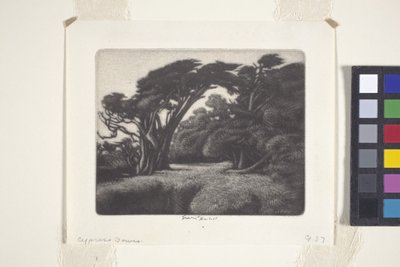 Cypress Bower by Ernest Haskell