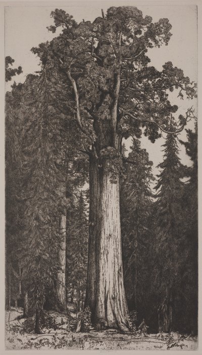 General Sherman by Ernest Haskell