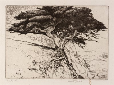 The Fan Tree by Ernest Haskell