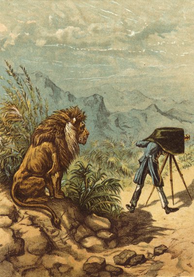 Promising Outlook, Lion Observes Photographer by Ernest Henry Griset