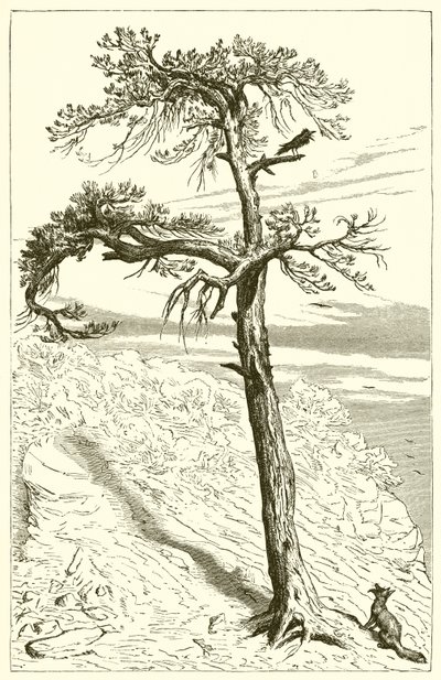The Fox and the Crew by Ernest Henry Griset
