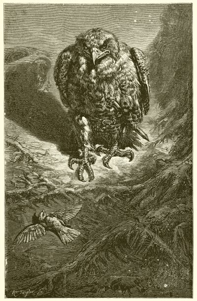 The Hawk and the Nightingale by Ernest Henry Griset