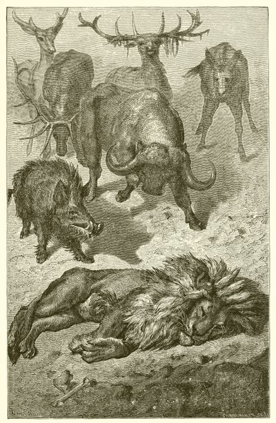 The Old Lion by Ernest Henry Griset