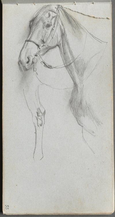 Sketchbook, page 55: Study for a Horse by Ernest Meissonier