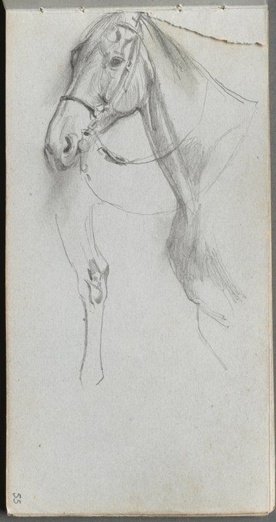 Sketchbook, page 55: Study for a Horse by Jean Louis Ernest Meissonier