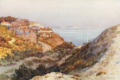 Boscombe Chine by Ernest William Haslehust