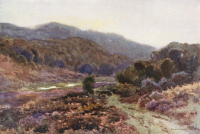 By Broomy Water by Ernest William Haslehust