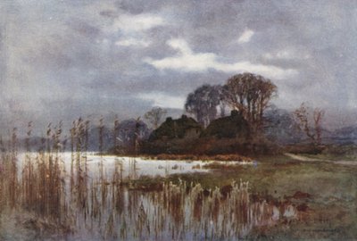 The Mill Pond, Beaulieu by Ernest William Haslehust