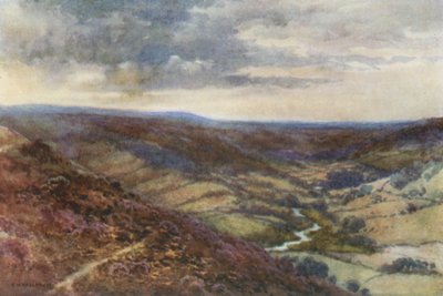 The Moors near Hackness by Ernest William Haslehust