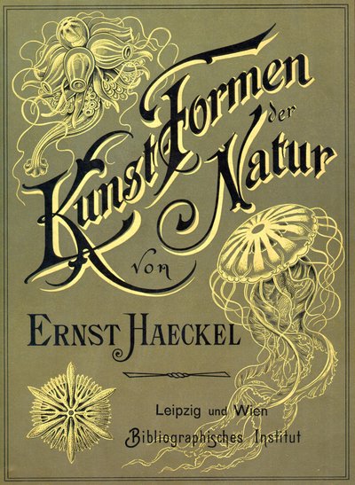 Front cover of 