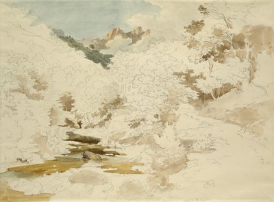 Woodland near Massa by Ernst Fries