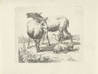 Three Sheep and a Lamb in a Meadow by Ernst Ludwig Creite