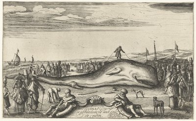 Stranded Sperm Whale on the Beach at Noordwijk, 1614 by Esaias van de Velde