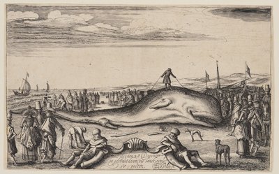 Beached Sperm Whale at Noordwijk by Esaias van den Velde I