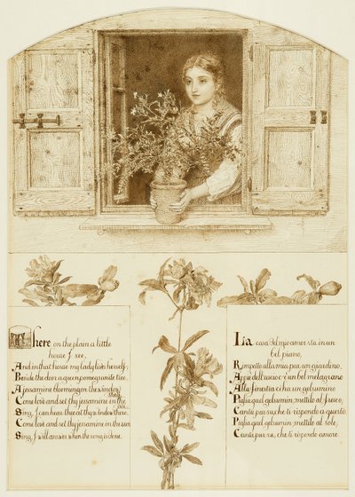 The Jessamine Window, drawing towards 