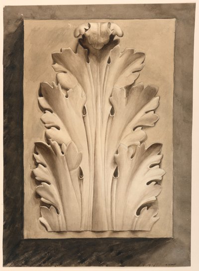 Drawing, Acanthus Leaf: from a Cast by Esther Silver
