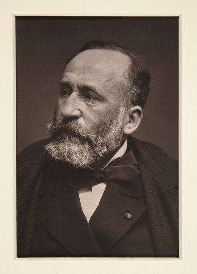Portrait of Pierre Puvis de Chavannes (1824-1898) by Etienne Carjat