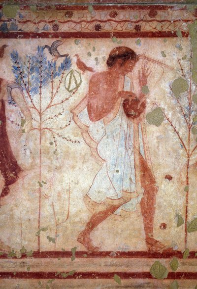 Etruscan art: frescoes depicting banquet scenes, (detail) depicting a lyre player. Tomb of the Triclinium. 5th century BC. National Archaeological Museum of Tarquinia Italy by Etruscan