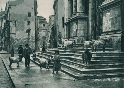 Goats on the steps of the Cathedral, Palermo, Sicily, Italy by Eugen Poppel