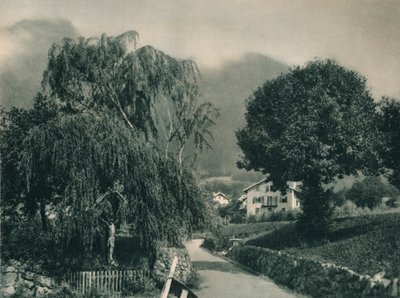Road to Tyrol Castle, Merano, South Tyrol, Italy, 1927 by Eugen Poppel